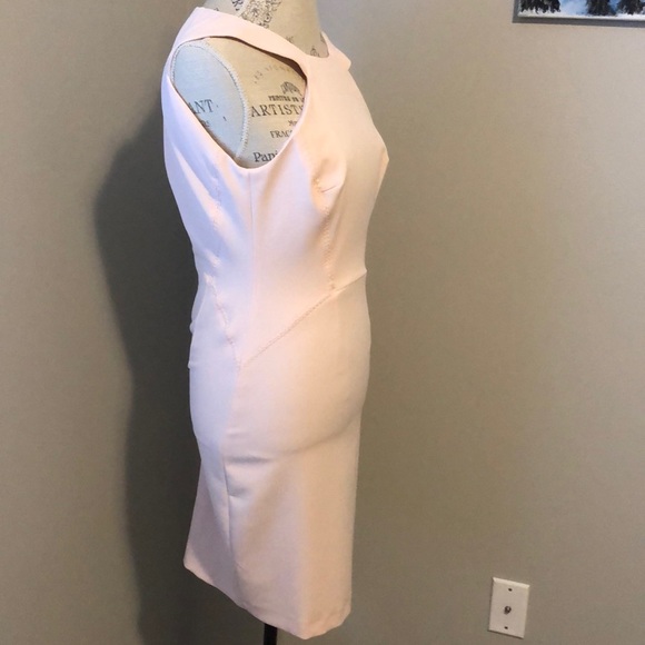 NWT French Connection Blush Pink Dress - Picture 4 of 8